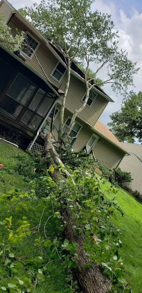 Professional landscaping services near you in Havre de Grace, MD by Naturevision