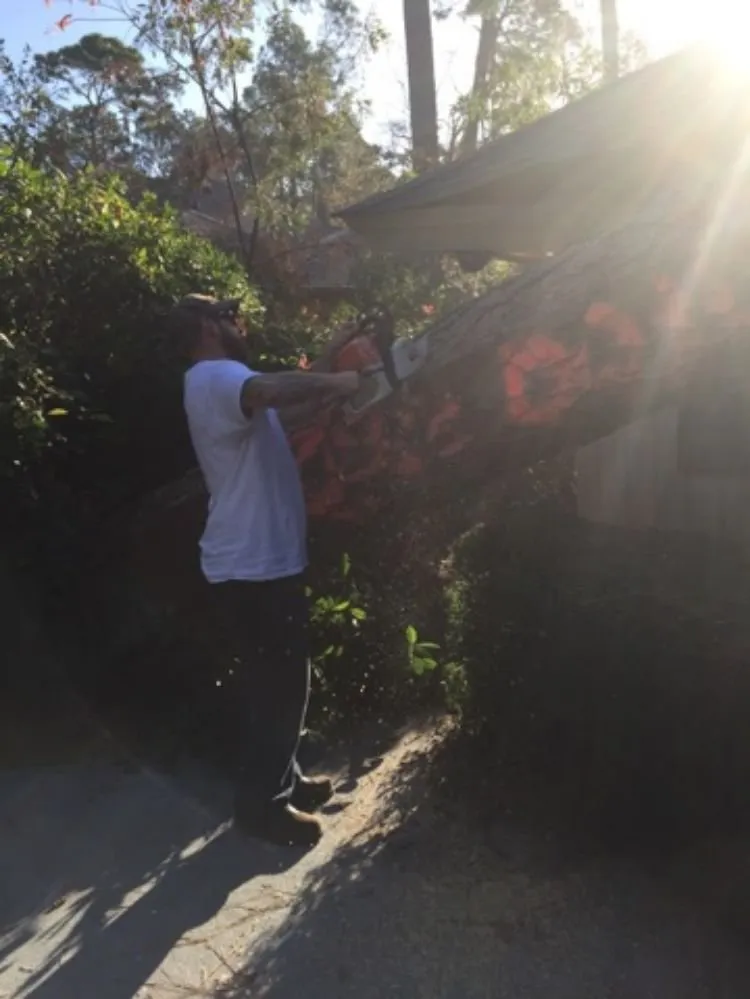 Top-rated outdoor landscaping in Havre de Grace, MD - Naturevision