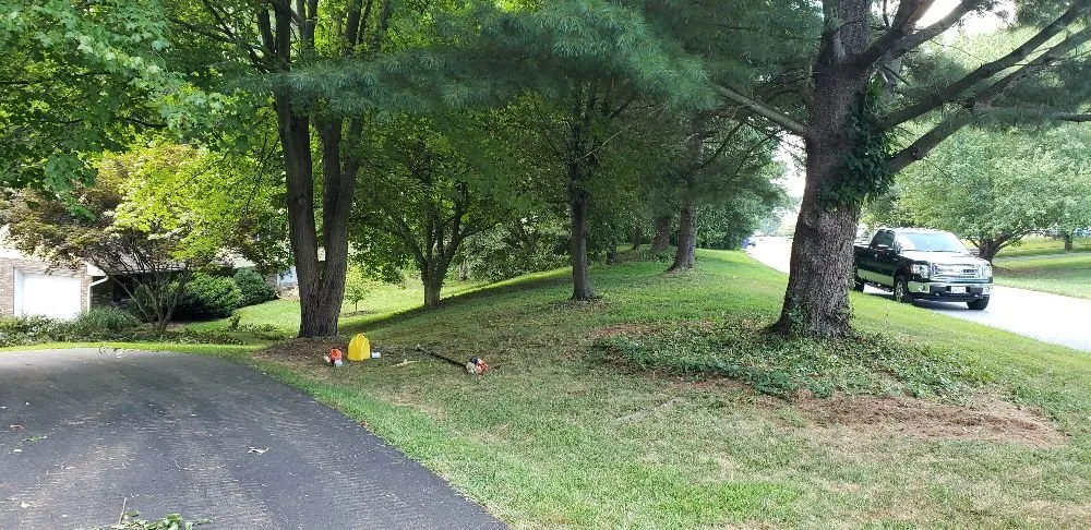 Custom landscape design in Havre de Grace, MD - Naturevision