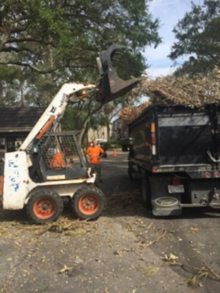 Local lawn care service experts serving Havre de Grace, MD - Naturevision