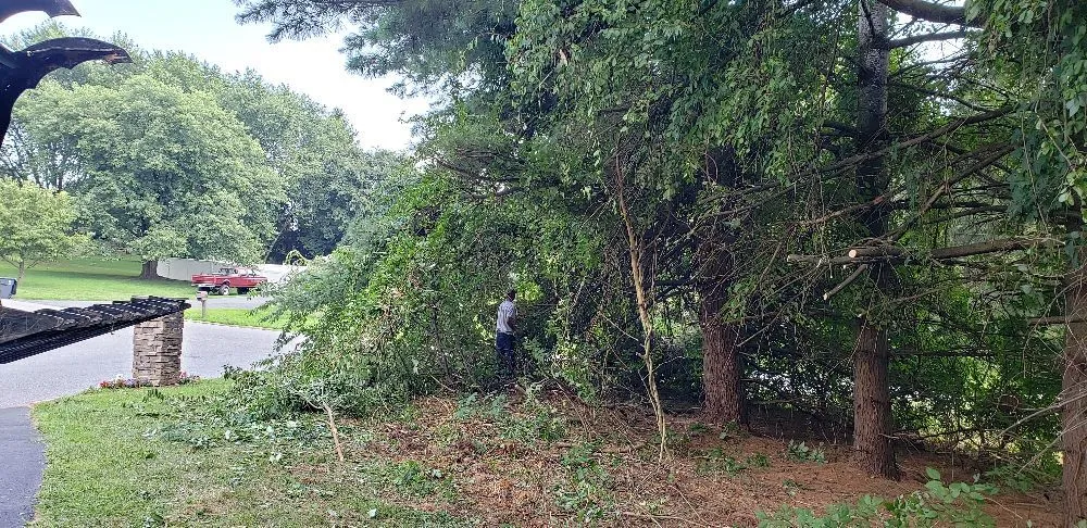 Expert residential landscaping in Havre de Grace, MD - Naturevision