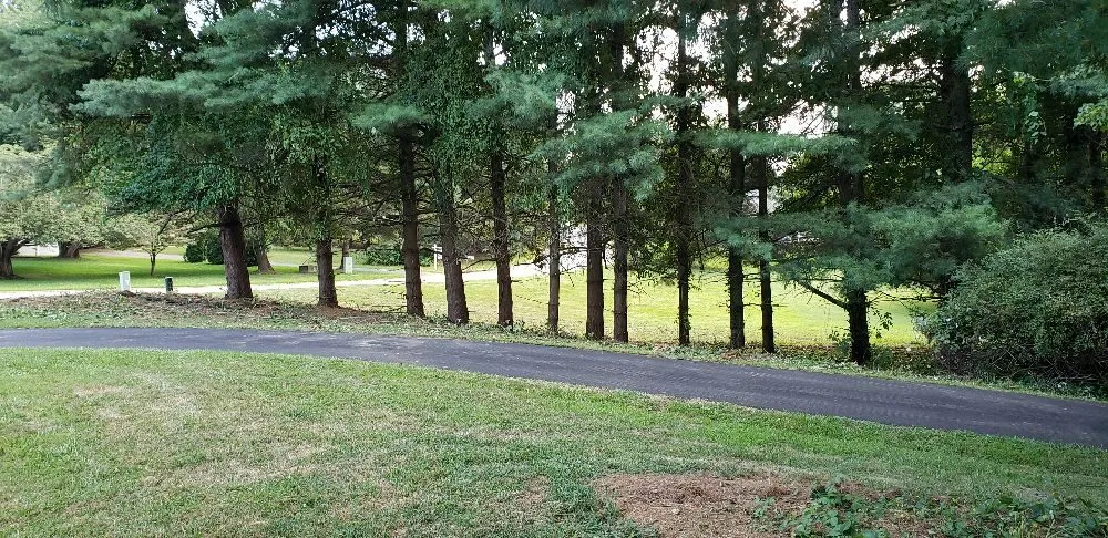 Affordable yard cleanup service in Havre de Grace, MD - Naturevision