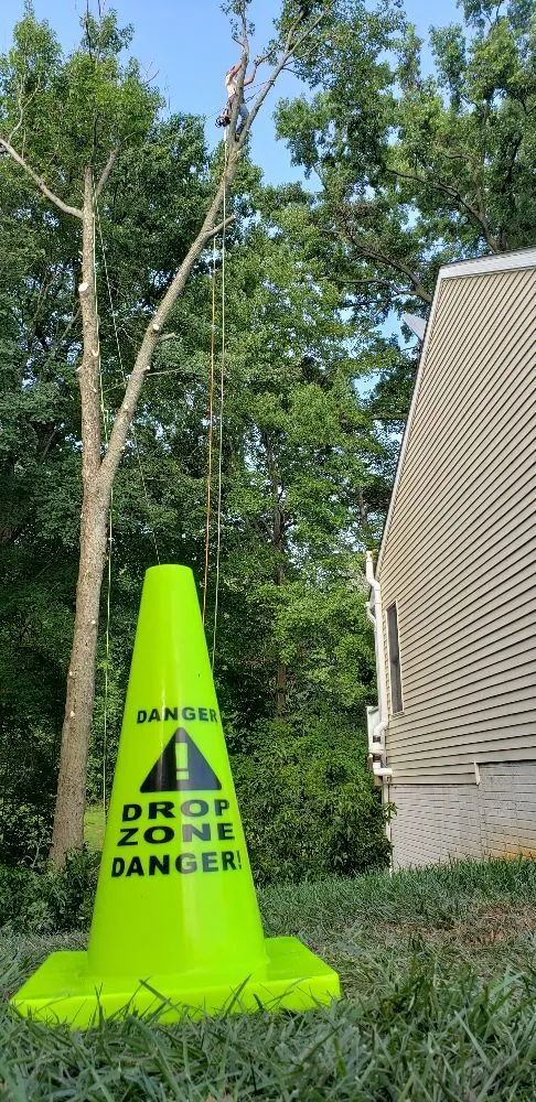 Expert outdoor landscaping experts serving Havre de Grace, MD - Naturevision