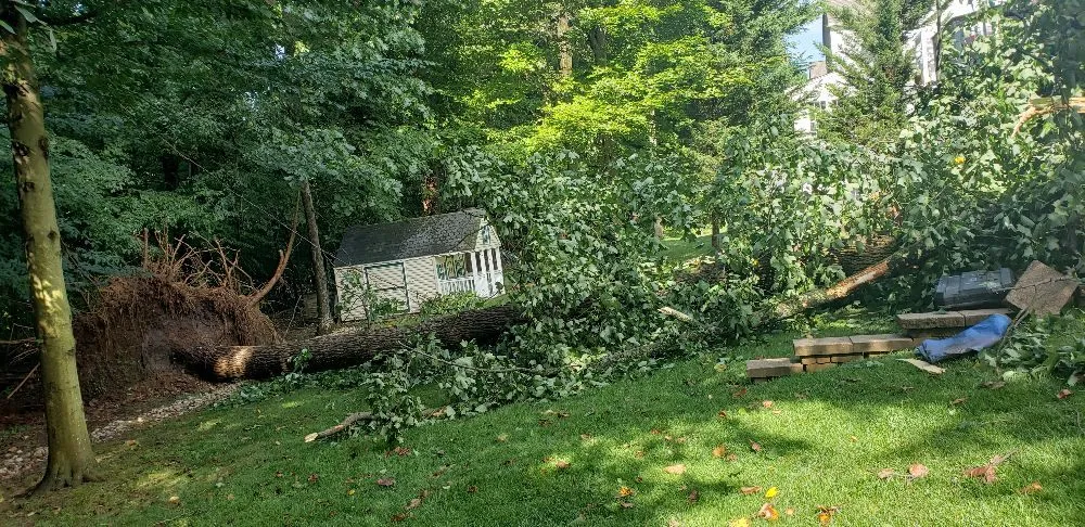 Trusted lawn care service in Havre de Grace, MD - Naturevision