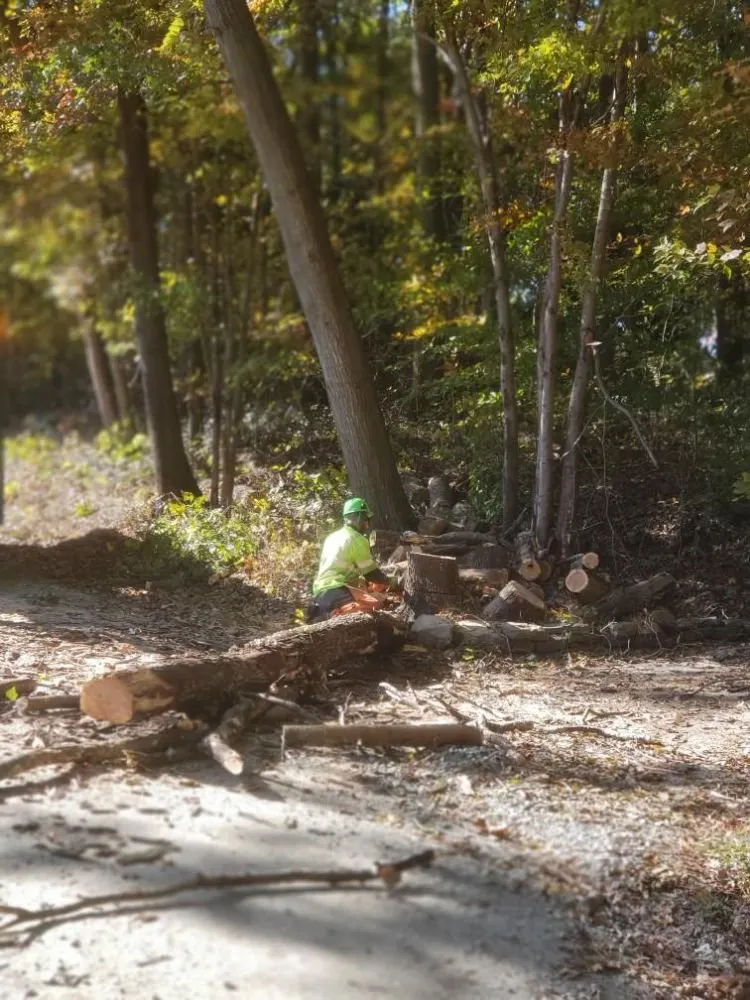 Professional lawn care service in Havre de Grace, MD by Naturevision