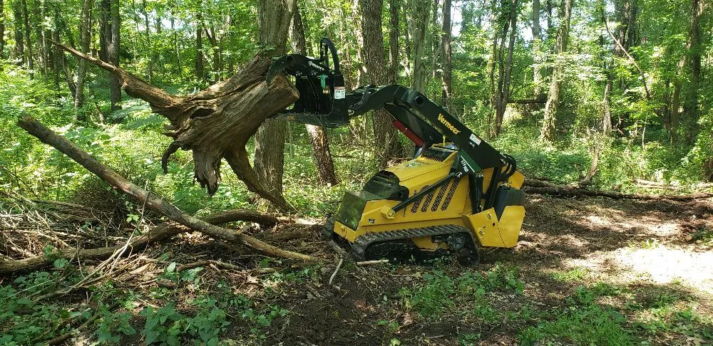 Expert landscaping services with custom design across Havre de Grace, MD - Naturevision