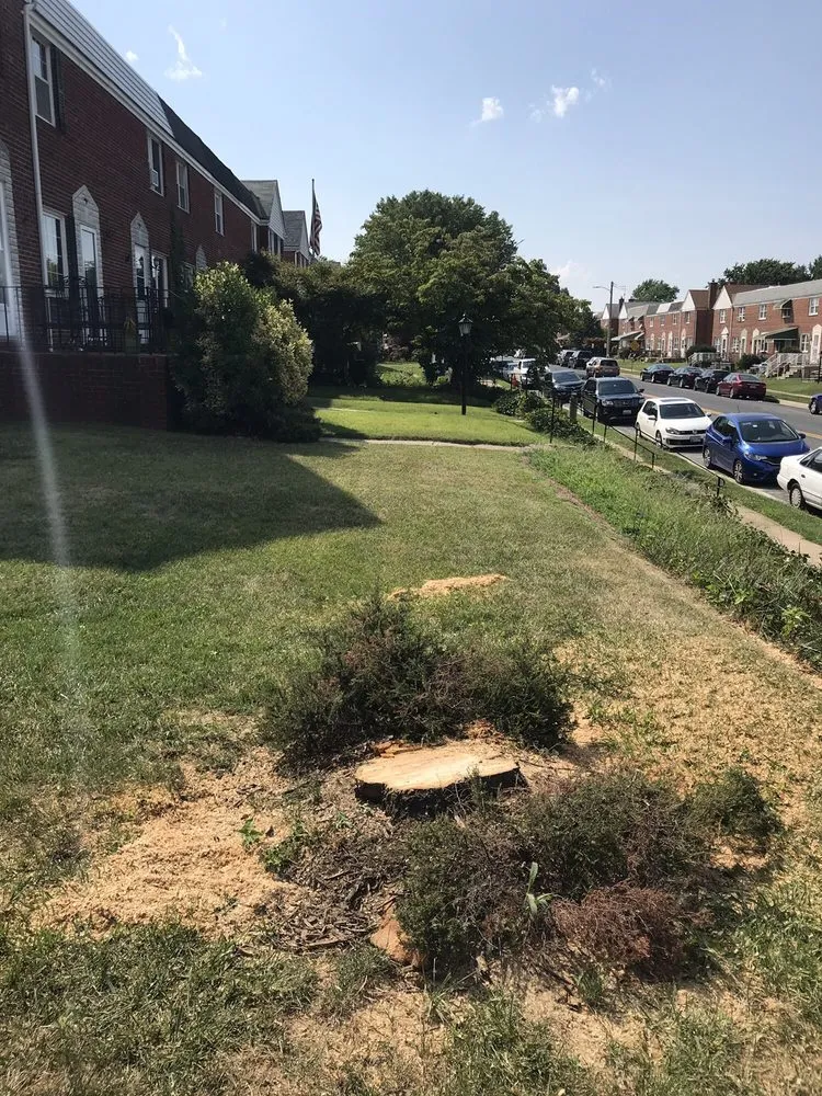 Custom garden landscaping for year-round maintenance in Havre de Grace, MD by Naturevision