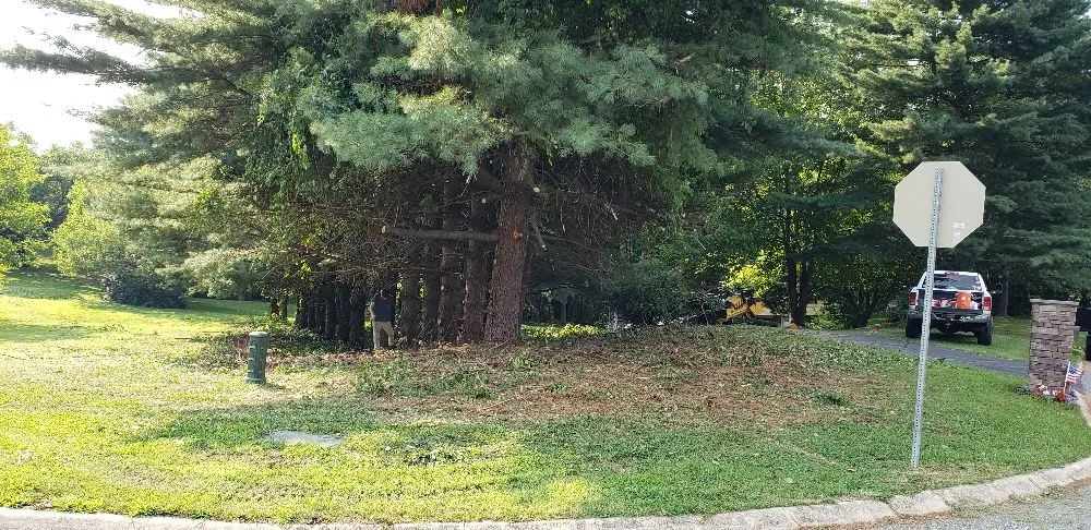 Top-rated landscaping services experts serving Havre de Grace, MD - Naturevision