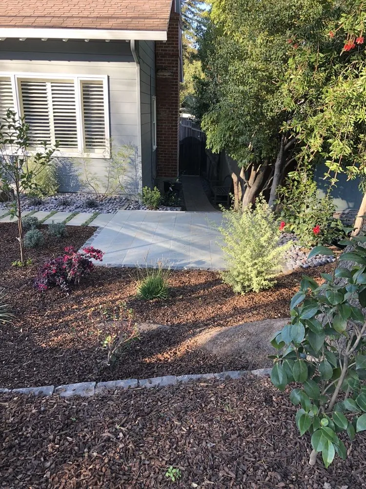 Trusted yard cleanup service for residential properties across Palo Alto, CA - NatureWalk Landscapes