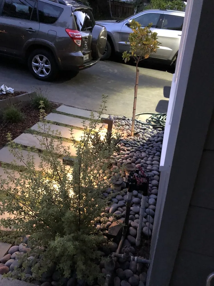 Reliable yard maintenance experts serving Palo Alto, CA - NatureWalk Landscapes