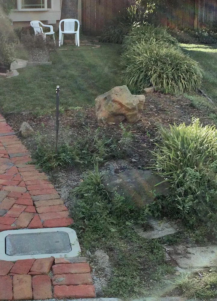 Professional lawn care service for residential properties across Palo Alto, CA - NatureWalk Landscapes