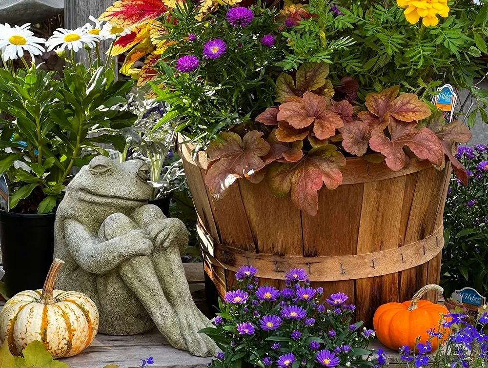 Top-rated landscape design for beautiful yards across Northford, CT - Natureworks