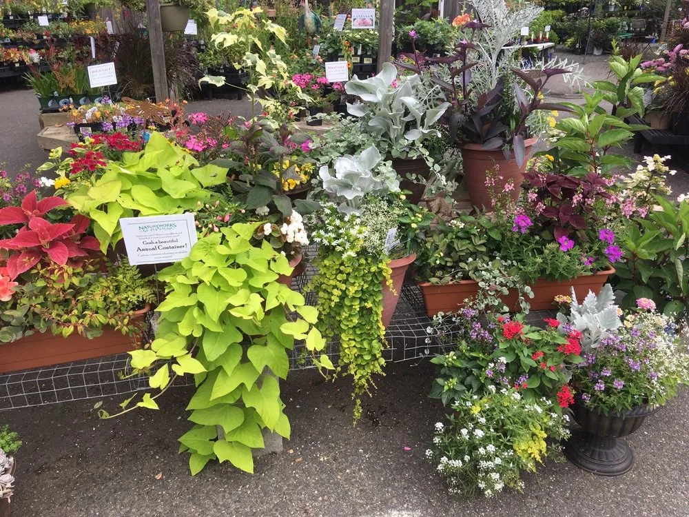 Professional garden landscaping with custom design in Northford, CT by Natureworks