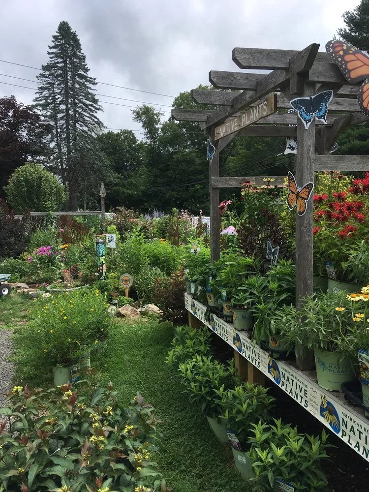 Top-rated lawn care service experts serving Northford, CT - Natureworks