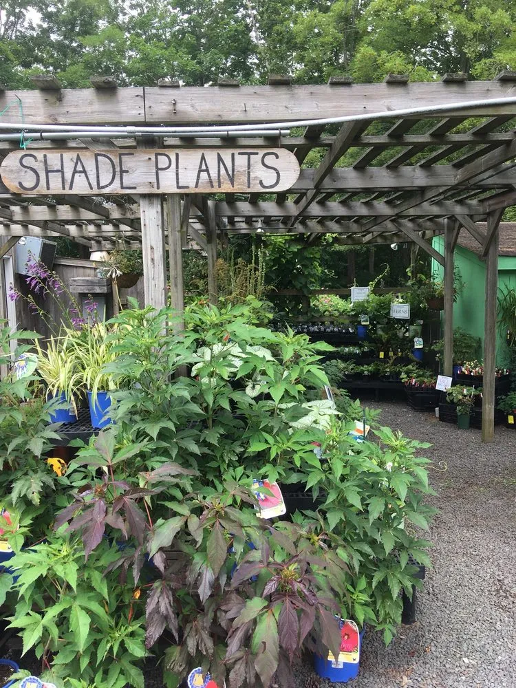 Professional outdoor landscaping experts serving Northford, CT - Natureworks