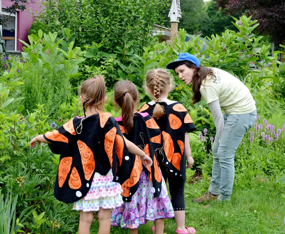 Local outdoor landscaping in Northford, CT - Natureworks