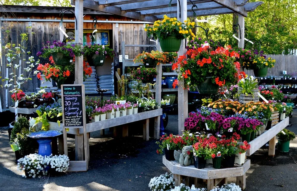 Trusted residential landscaping experts serving Northford, CT - Natureworks