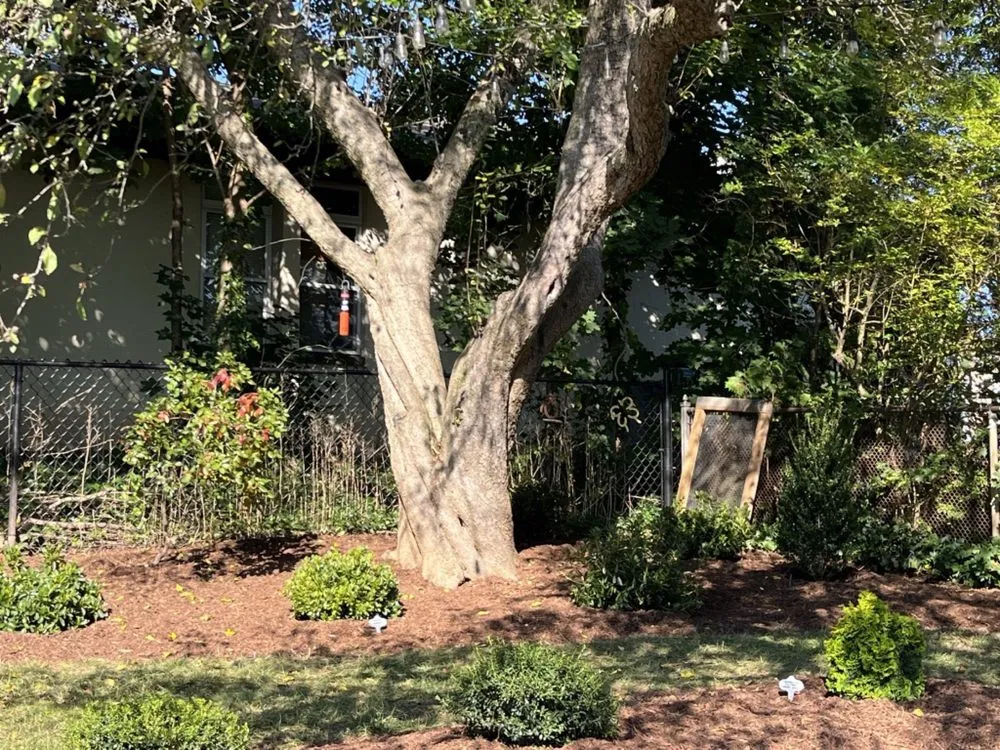Affordable landscaping services in Northford, CT - Natureworks