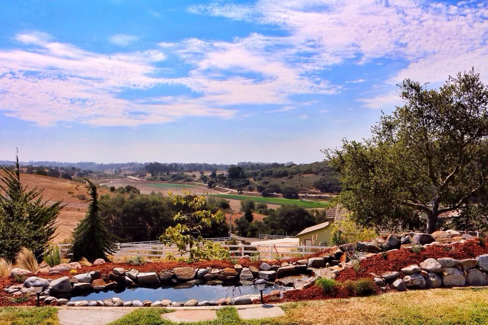 Custom yard maintenance experts serving Petaluma, CA - Naturis Design