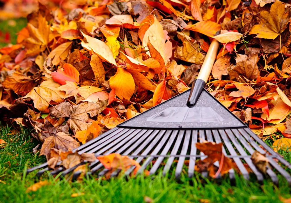 Professional garden landscaping in Arlington, MA - NAUAK Able Hands