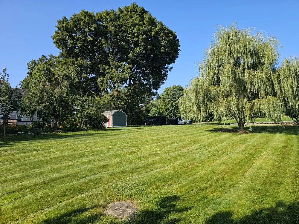 Local yard cleanup service in Orange, MA by Nautical Landscape