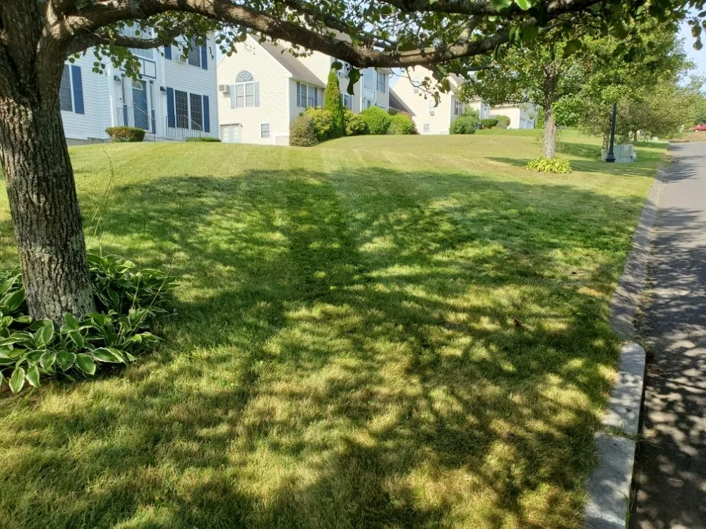 Affordable yard cleanup service with custom design in Orange, MA by Nautical Landscape