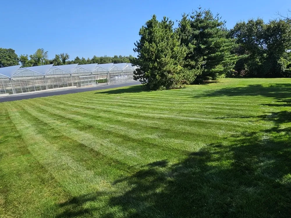 Professional yard cleanup service in Orange, MA by Nautical Landscape