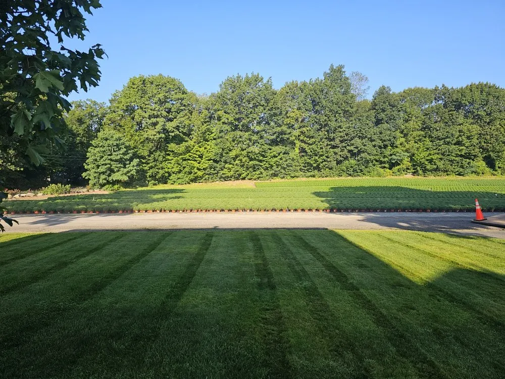 Expert lawn care service with custom design in Orange, MA by Nautical Landscape