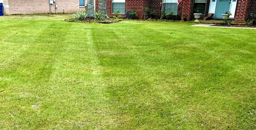 Professional yard cleanup service experts serving Jacksonville, AL - Nautilus Outdoor Services