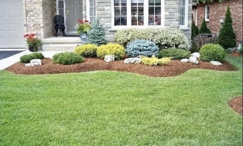Affordable yard maintenance in Jacksonville, AL - Nautilus Outdoor Services