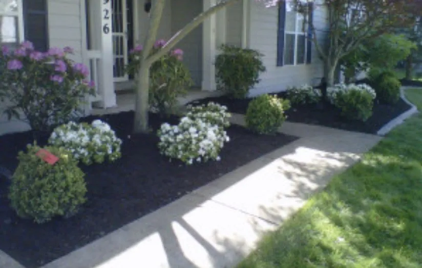 Reliable landscaping services near you in Jacksonville, AL by Nautilus Outdoor Services