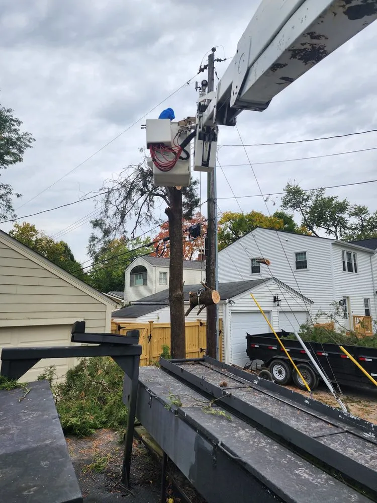 Professional yard cleanup service for residential properties across Columbus, OH - Nava Hardscapes