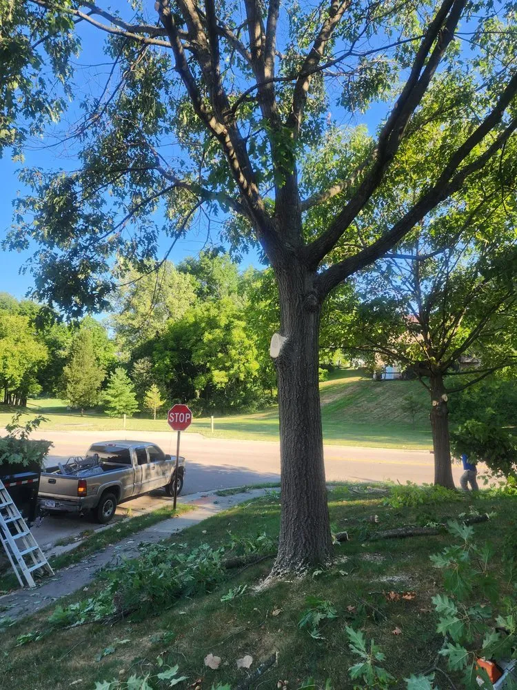 Trusted residential landscaping in Columbus, OH by Nava Hardscapes