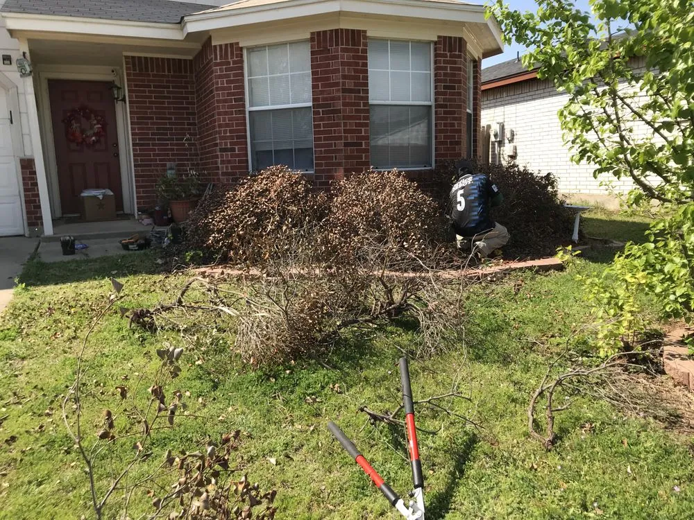 Top-rated landscape installation in White Settlement, TX - Nava Landscape Service