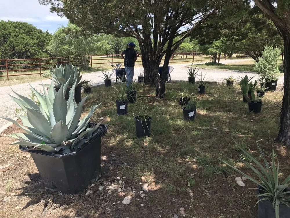 Reliable lawn care service for outdoor upgrades across White Settlement, TX - Nava Landscape Service