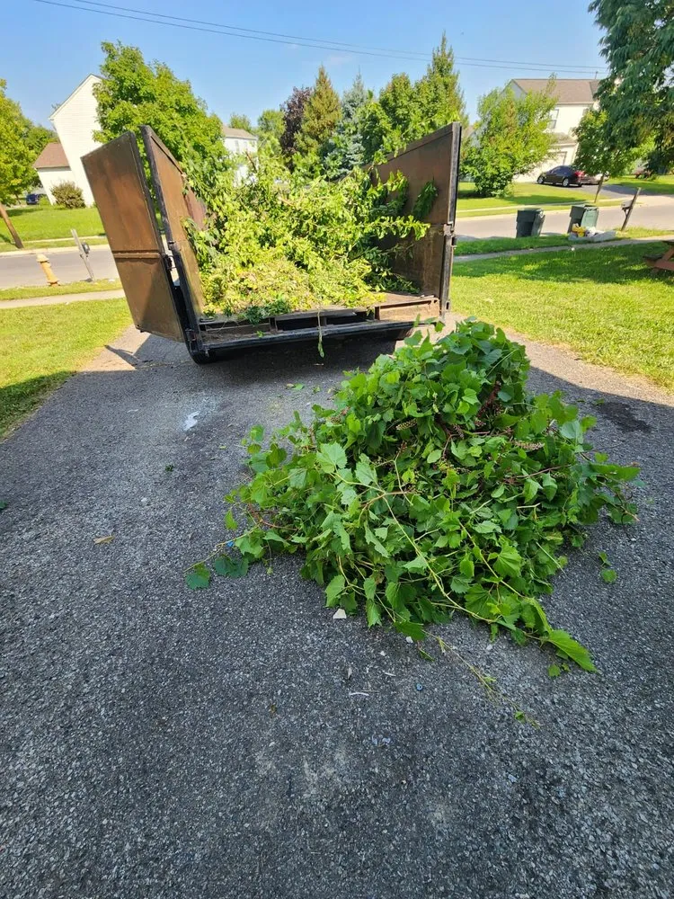 Affordable yard maintenance experts serving Columbus, OH - Nava Landscaping & Tree Service