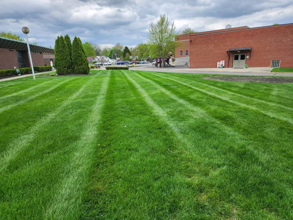 Trusted landscape design experts serving Columbus, OH - Nava Landscaping & Tree Service