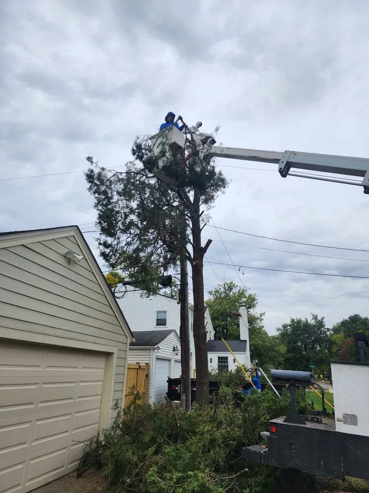 Reliable garden landscaping for residential properties in Columbus, OH by Nava Landscaping & Tree Service