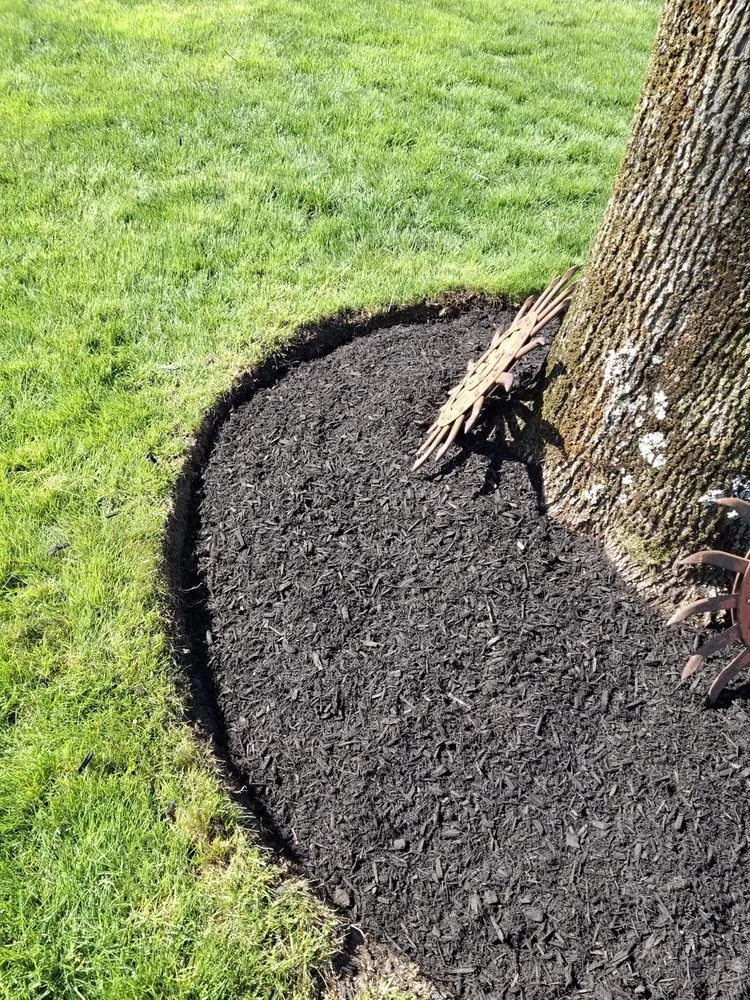 Trusted outdoor landscaping for homes in Columbus, OH by Nava Landscaping & Tree Service