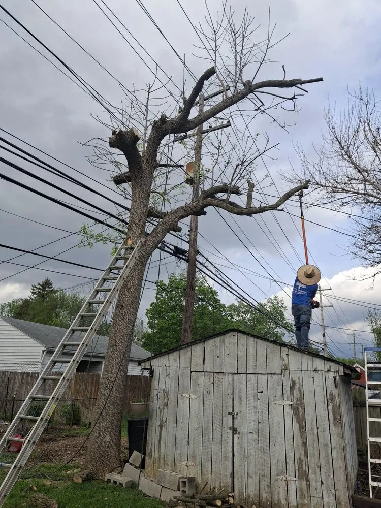 Professional lawn care service for outdoor upgrades across Columbus, OH - Nava Landscaping & Tree Service