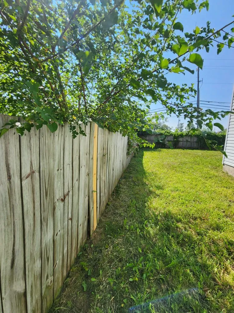 Professional lawn care service in Columbus, OH by Nava Landscaping & Tree Service