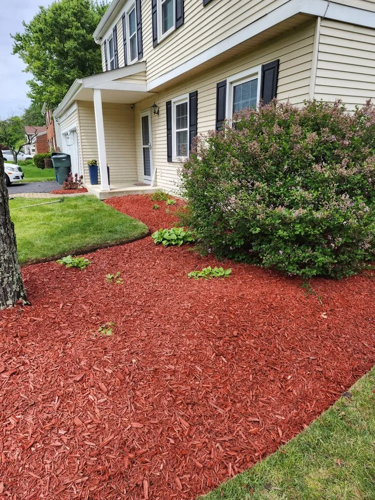 Professional yard cleanup service in Columbus, OH - Nava Landscaping & Tree Service