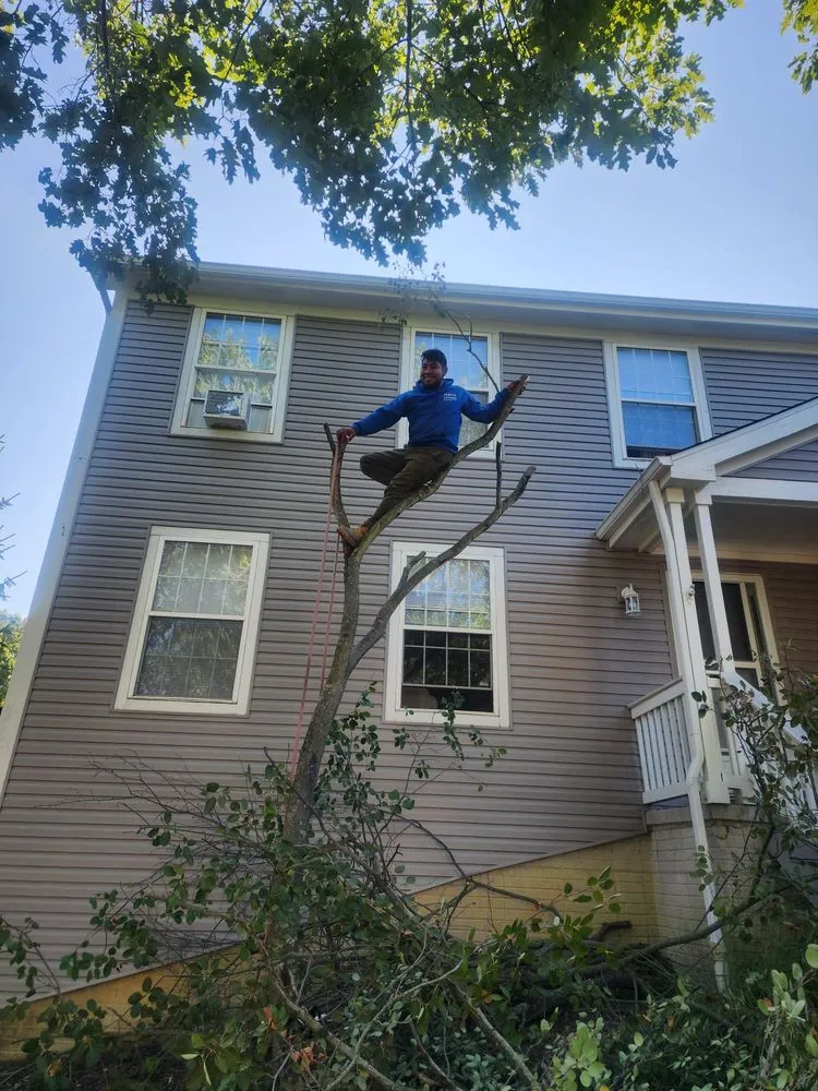 Expert landscape installation in Columbus, OH - Nava Landscaping & Tree Service