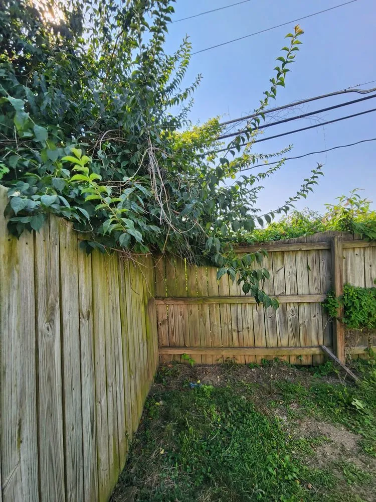 Affordable outdoor landscaping with custom design across Columbus, OH - Nava Landscaping & Tree Service