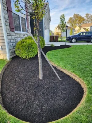 Nava Landscaping & Tree Service Logo