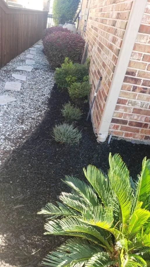 Professional outdoor landscaping experts serving Alvarado, TX - Nava Pros Lawn Care Experts