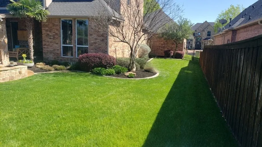 Professional landscape design experts serving Alvarado, TX - Nava Pros Lawn Care Experts
