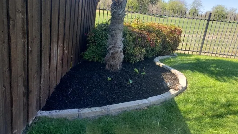 Local yard cleanup service in Alvarado, TX by Nava Pros Lawn Care Experts