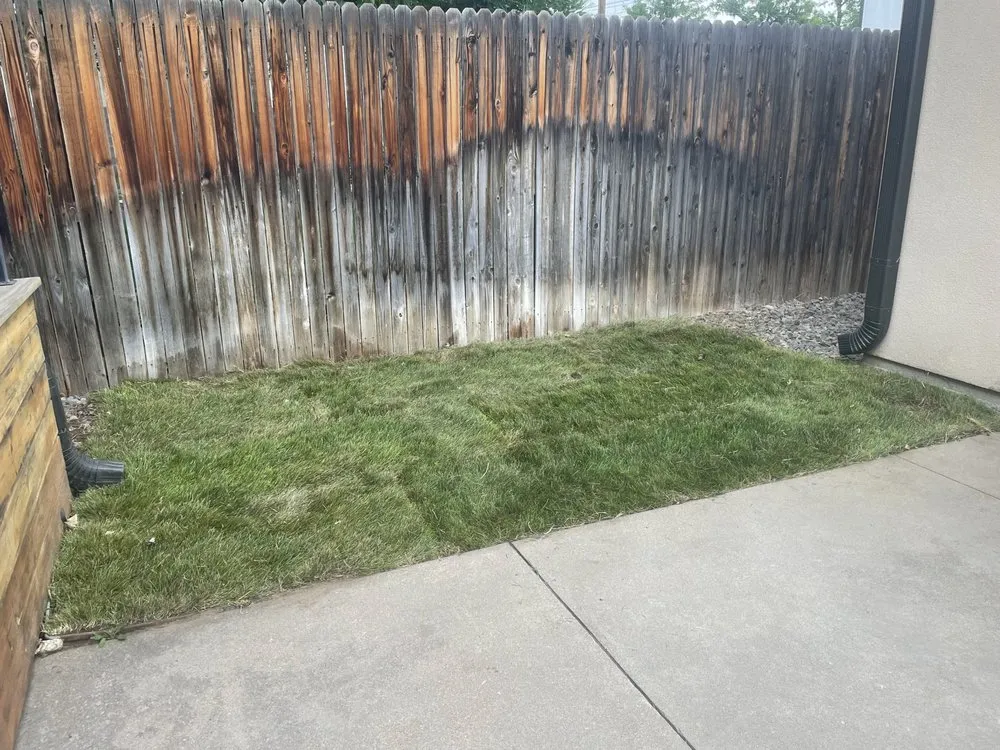 Affordable yard cleanup service near you across Denver, CO - Nava Services