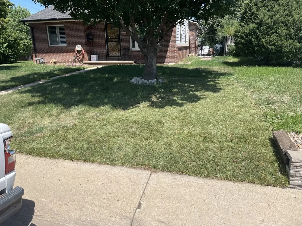 Local residential landscaping experts serving Denver, CO - Nava Services